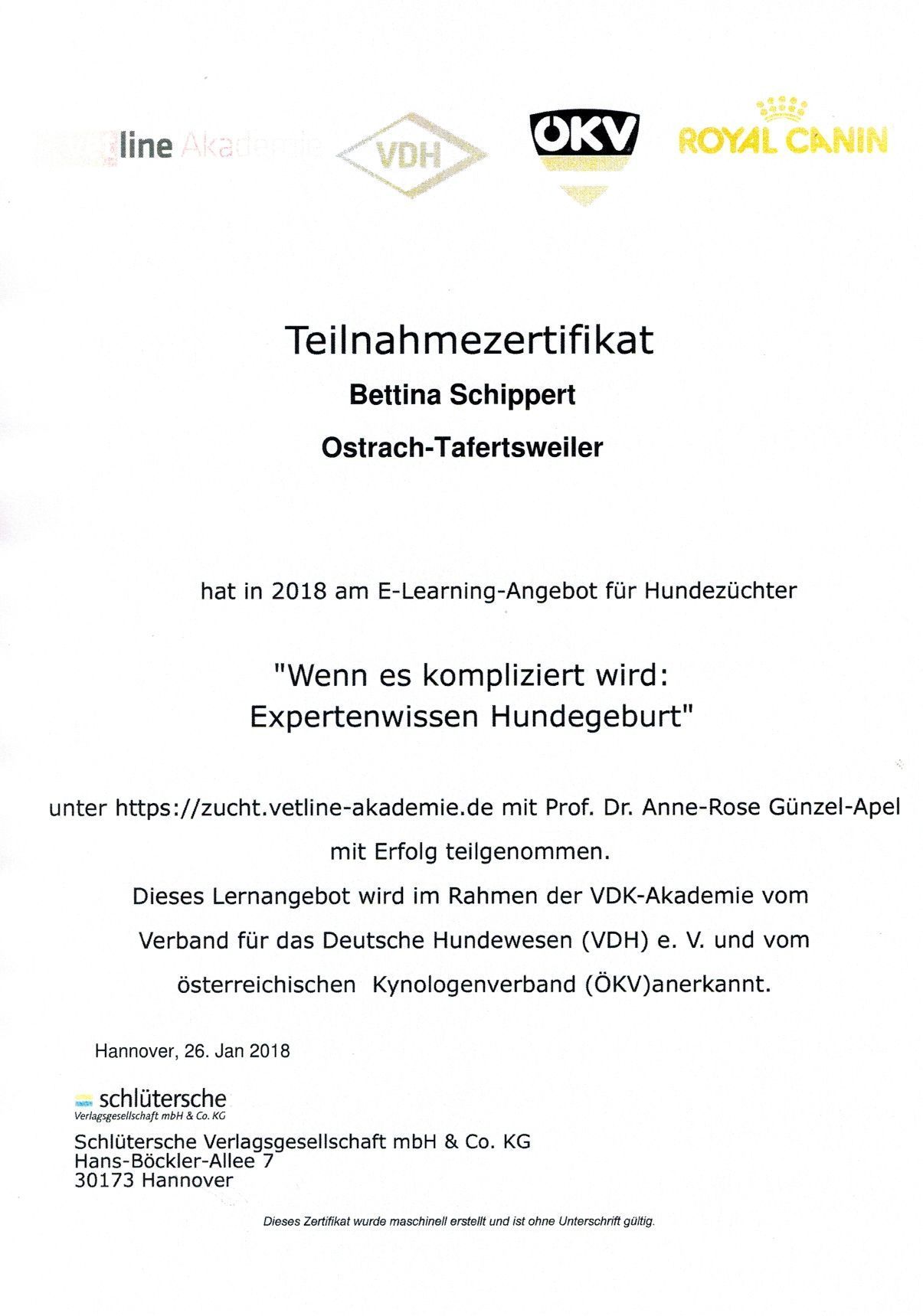 Teilnahmezertifikat Bettina Schippert, Vetline Akademie